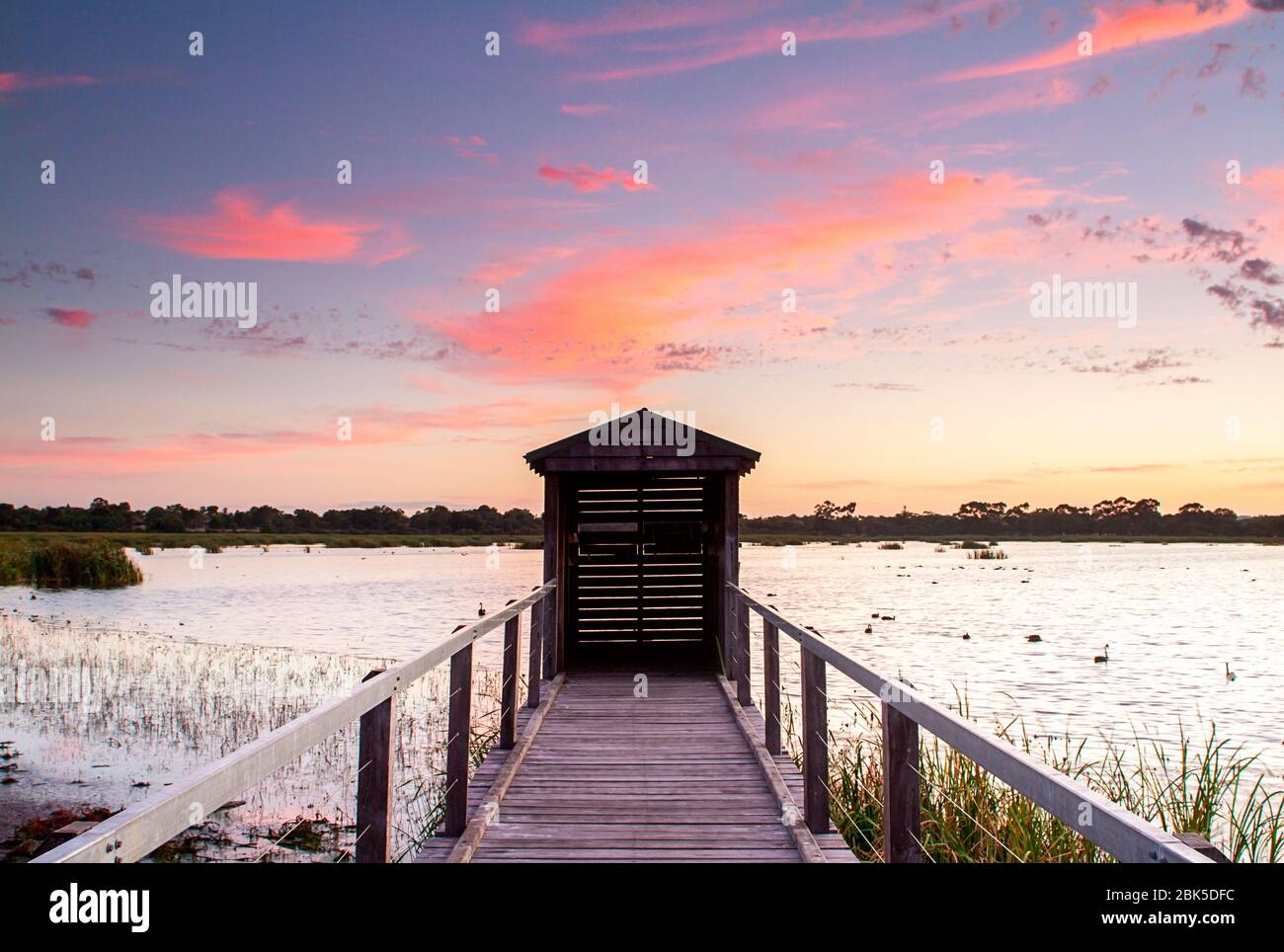 Amanecer en la cabaña de observación de aves en el Lago BIBRA, Australia Occidental Foto de stock
