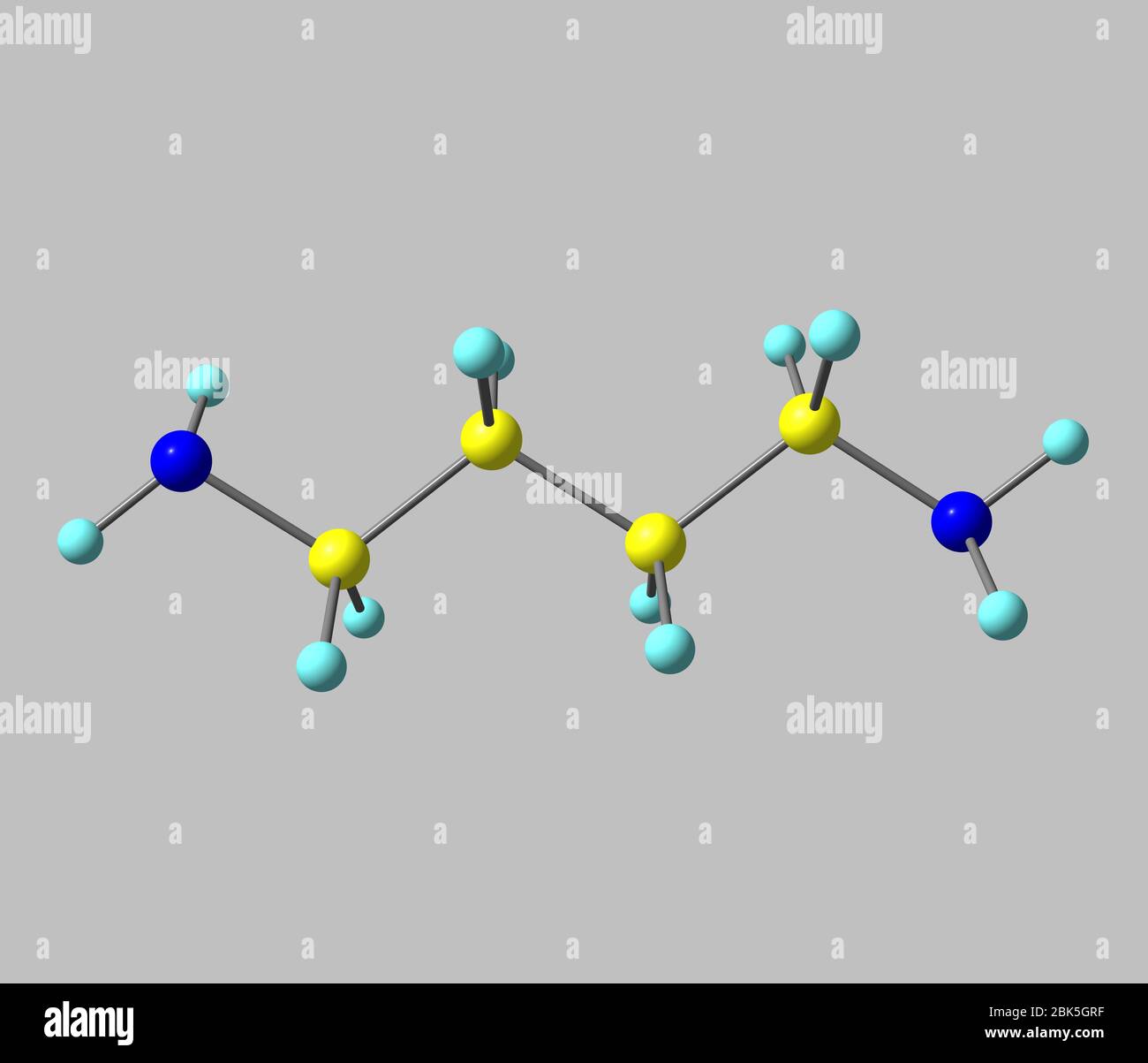 Putrescina (tetrametilenediamina) es un compuesto químico orgánico de