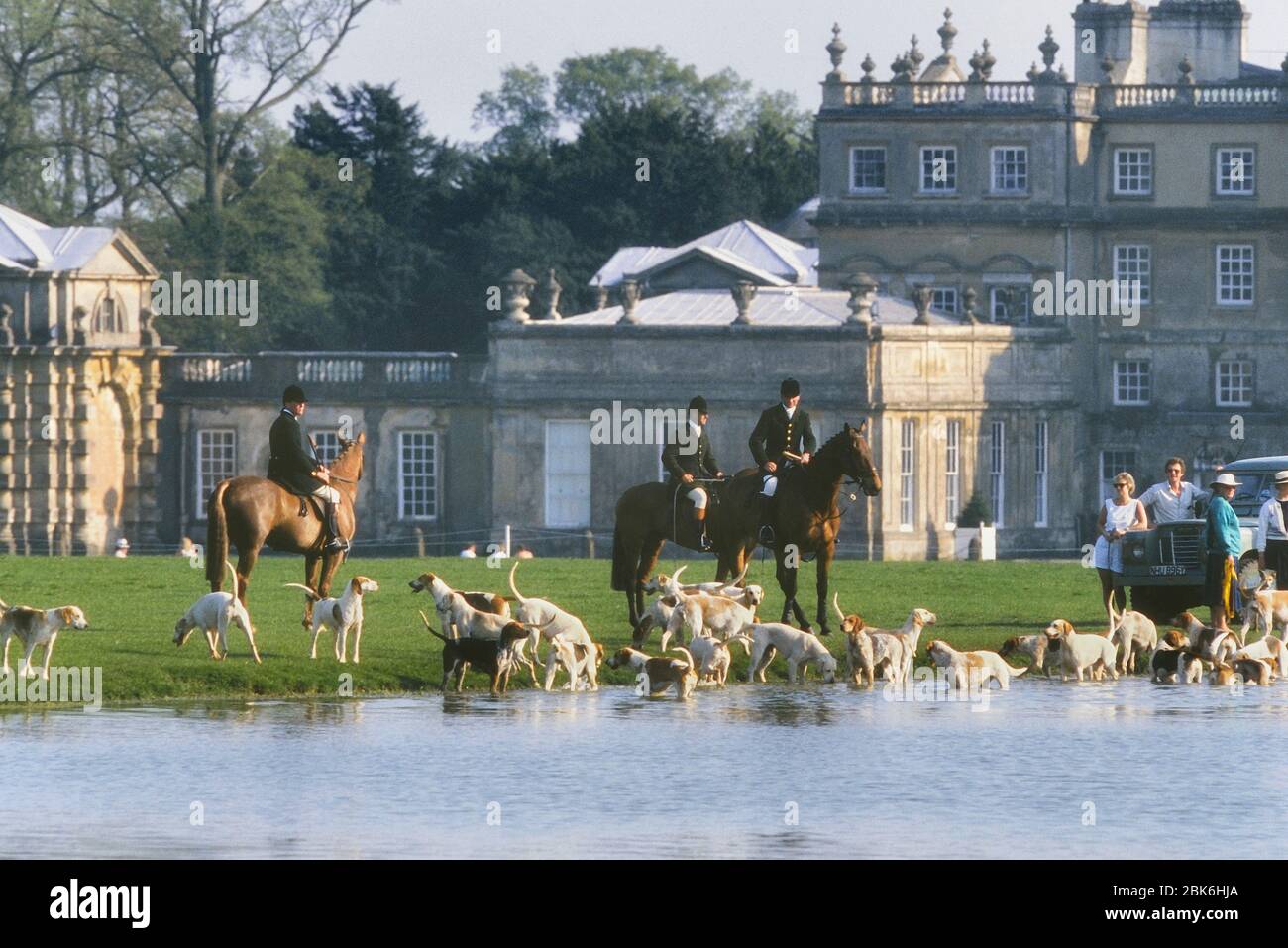 Caza a caballo con un grupo de foxhounds refrescándose en el lago en el Badminton House Estate, Gloucestershire, Inglaterra, Reino Unido Foto de stock