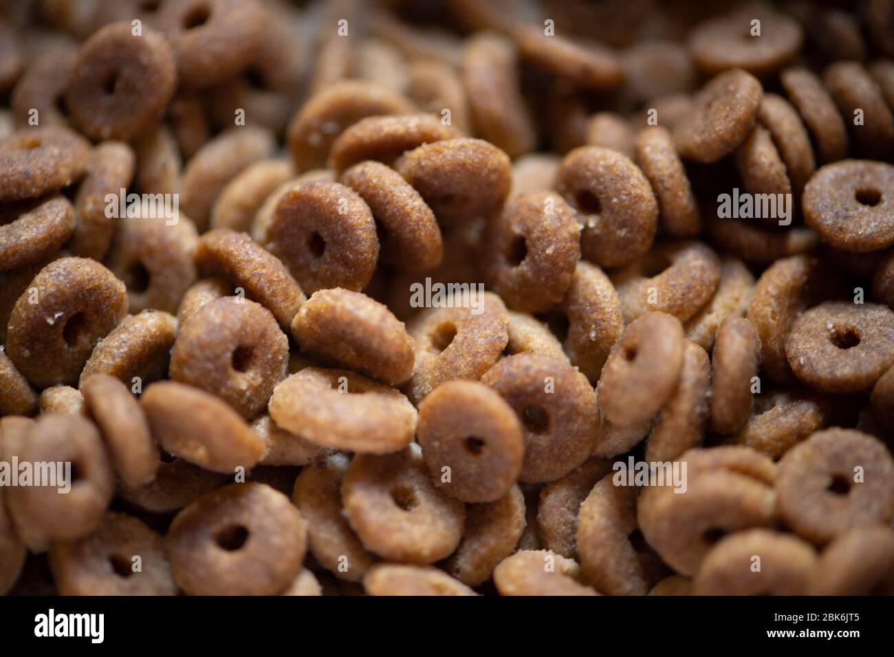 comida de perro seca Foto de stock