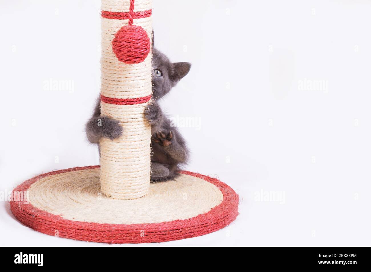 Atado A Una Columna Fotos e Imágenes de stock - Página 3 - Alamy