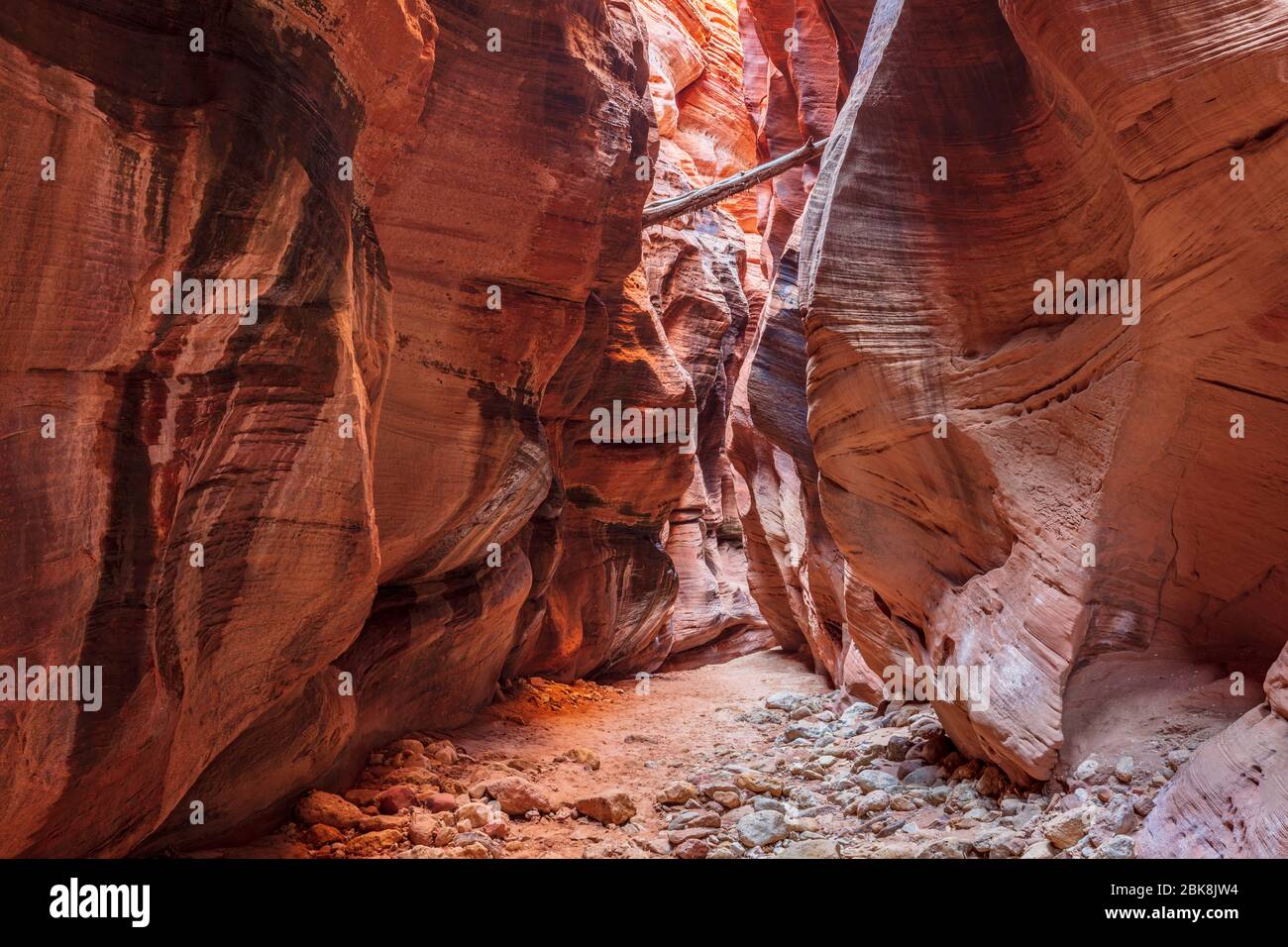 Cañón de la ranura de la piel del alforchón en la frontera de Arizona, Utah Foto de stock