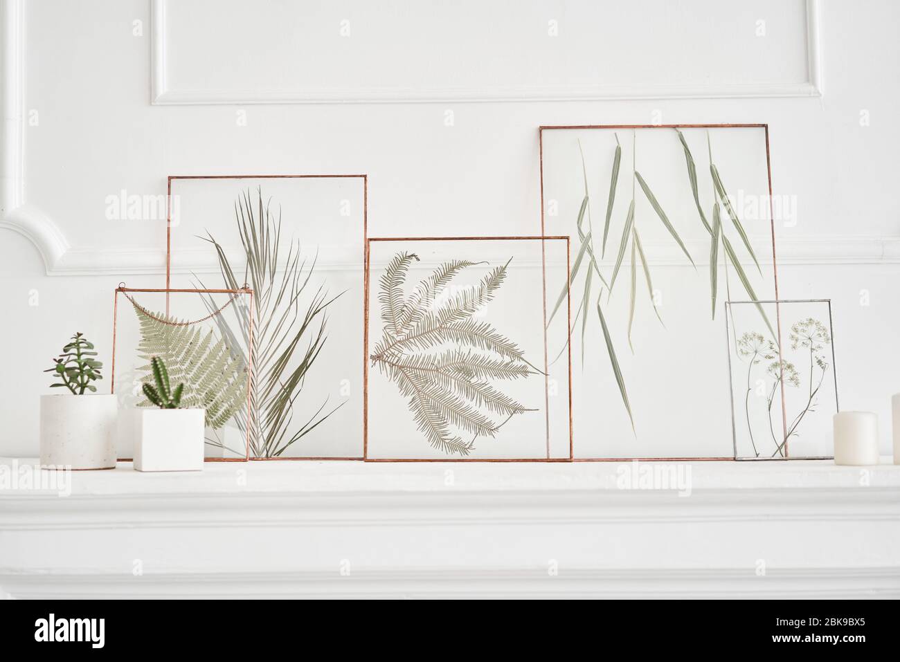 https://c8.alamy.com/compes/2bk9bx5/imagen-de-plantas-reales-entre-los-cristales-elementos-decorativos-naturales-para-la-decoracion-del-hogar-herbario-en-un-marco-sobre-una-mesa-blanca-2bk9bx5.jpg