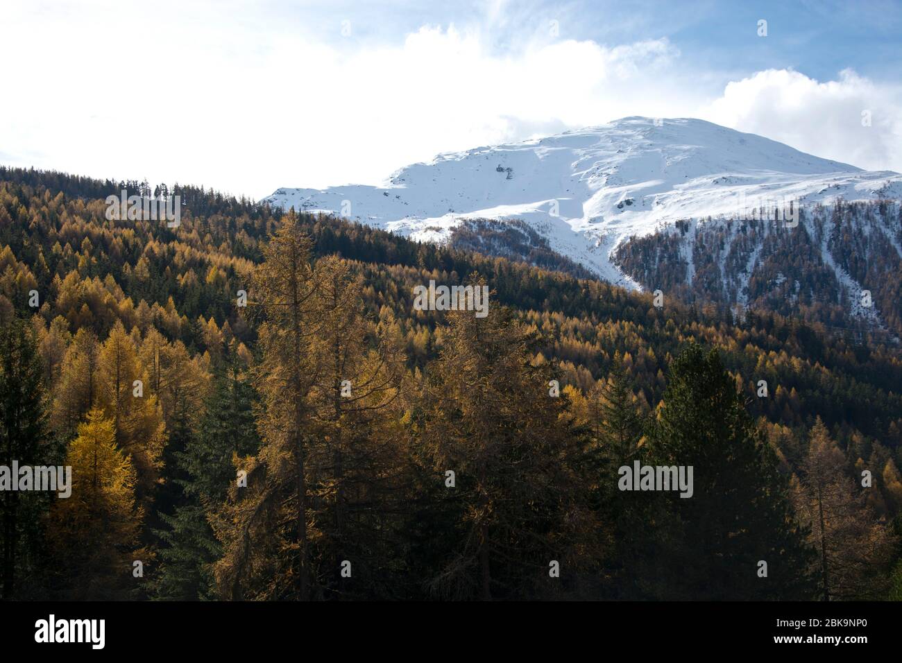 Frischer Schnee liegt auf dem Augstbordhorn oberhalb von Bürchen im Kanton Wallis, Schweiz Foto de stock