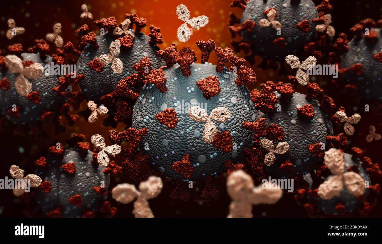 Anticuerpos monoclonales o inmunoglobulina que combaten contra un grupo de coronavirus o células covid 3D que ofrecen ilustración. Inmunidad, sistema inmunológico, imm Foto de stock