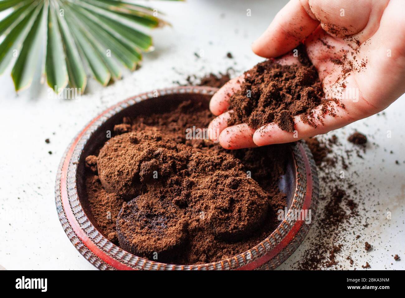 La mano de la mujer desmenuza los granos de café en un tazón de madera. Café  molido usado como un exfoliante corporal o fertilizante para plantas  Fotografía de stock - Alamy