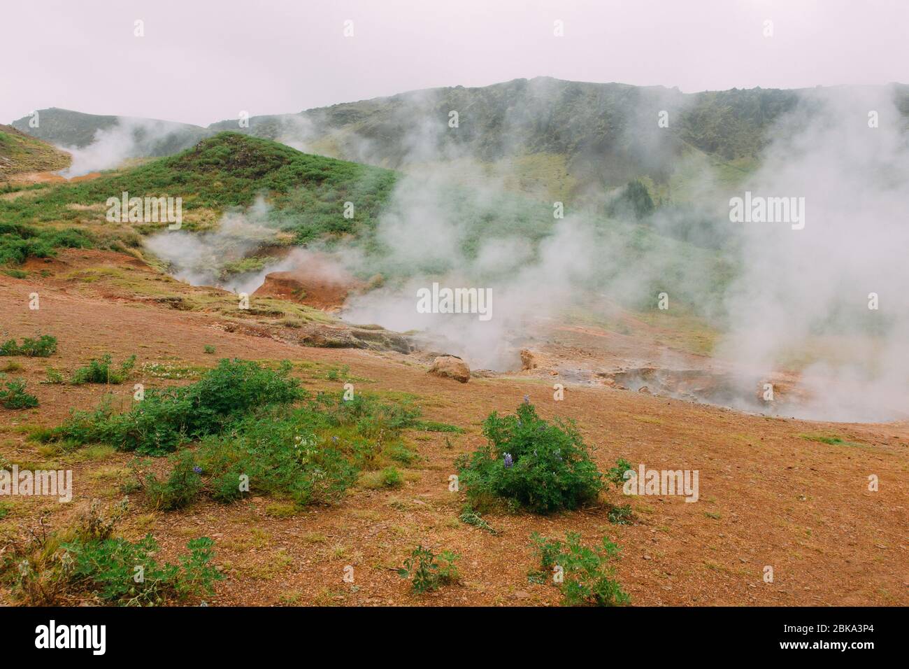 Hveragerði Área geotérmica en Islandia Foto de stock