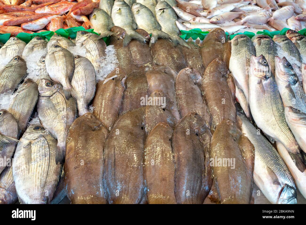 Surtido de peces pelágicos en la pescadería Foto de stock