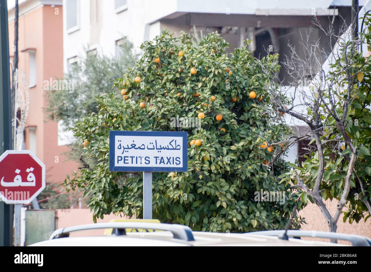 Petits taxis en Marrakech (Marrakech), ciudad con un camino de árboles de naranja en el fondo Foto de stock