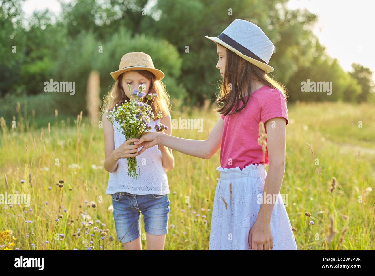 Dos hermosas chicas niños lagrimeo flores silvestres caminando en pradera soleada Foto de stock