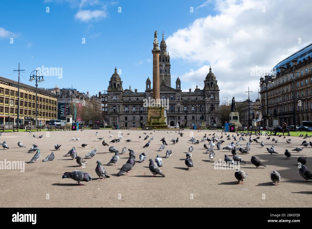 Lockdown Scotland UK - un vacío George Square sólo poblado por palomas durante el bloqueo de la pandemia del coronavirus Foto de stock