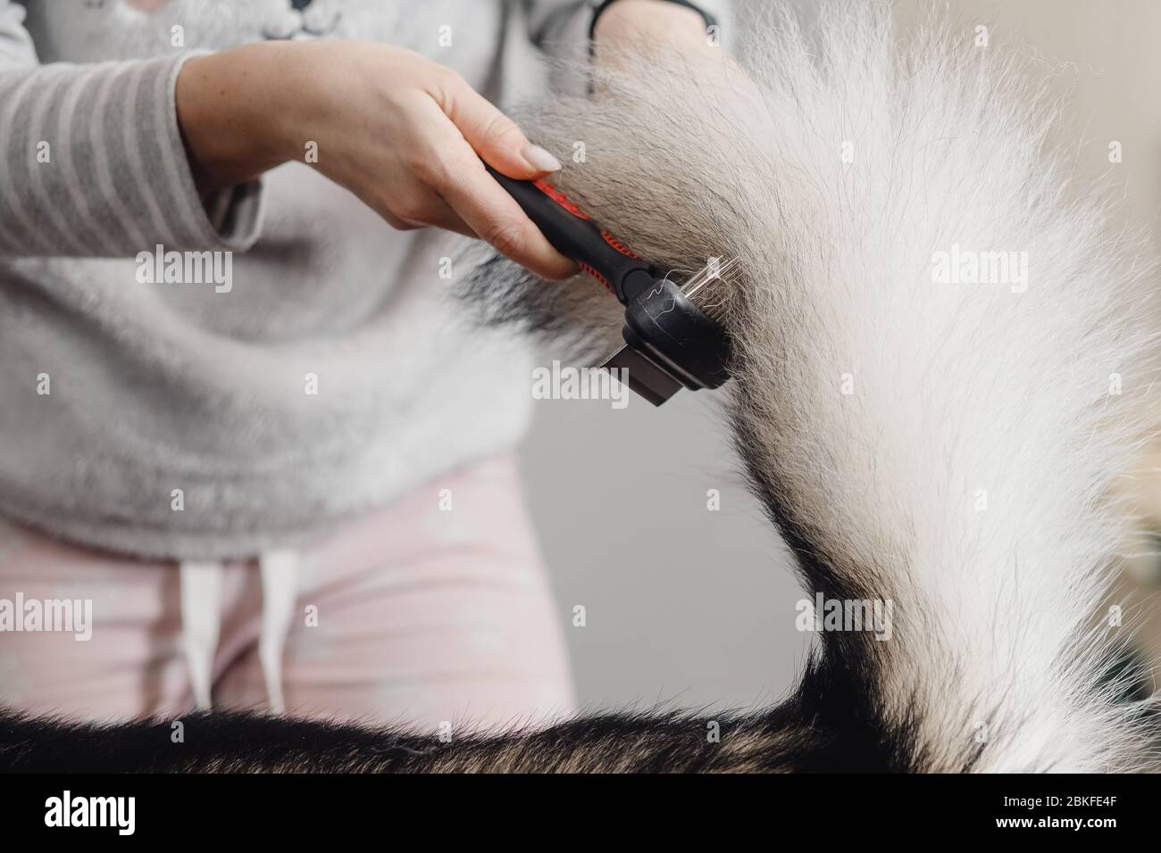 Camisa Rosa Pantalon Negro Fotos e Imágenes de stock - Página 2 - Alamy