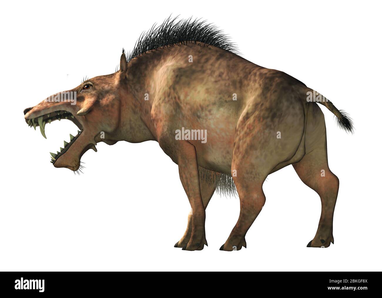 El Cerdo Del Infierno