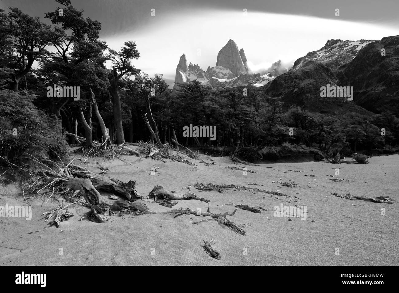 Imagen del Monte Fitz Roy en una imagen negra y de color blanco, Patagonia, Argentina Foto de stock