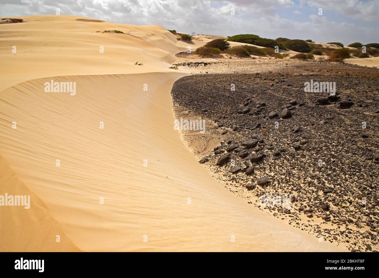 Dunas formadas por soplado en arena del desierto del Sáhara y rocas volcánicas en el desierto de Desierto de Viana en la isla de Boa Vista, Cabo Verde / Cabo Verde Foto de stock