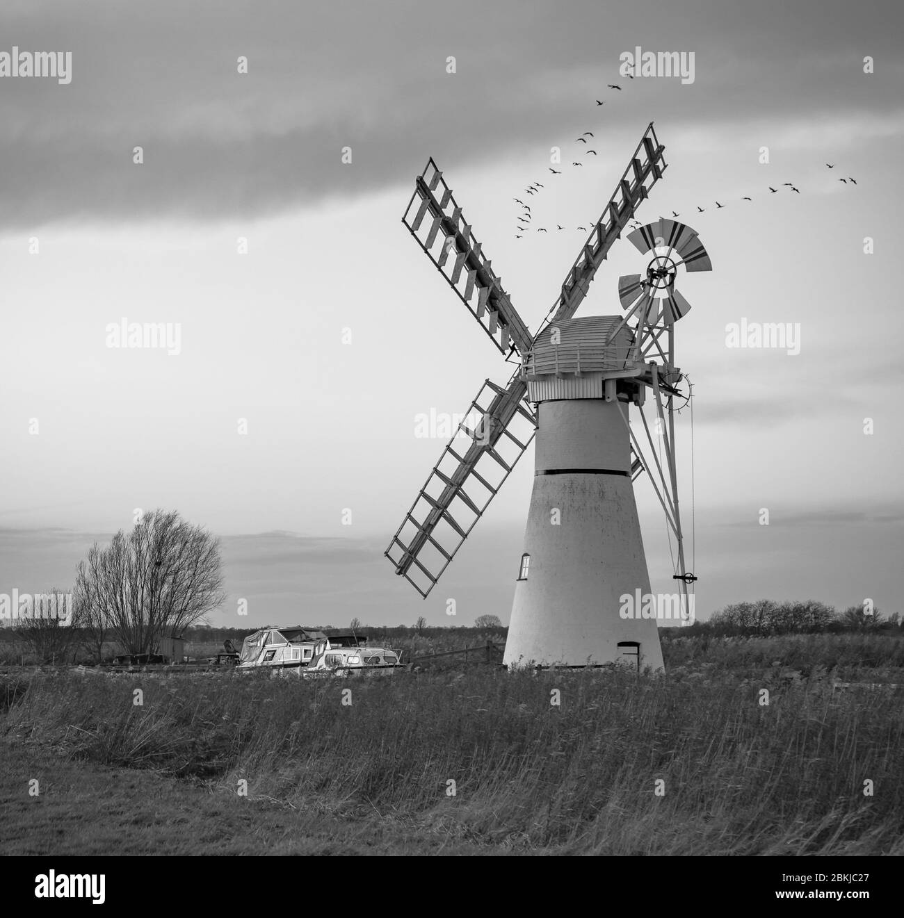 Thurne Windmill, Norfolk. Foto de stock