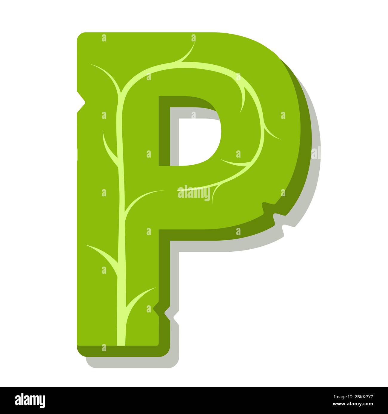 Letra P, hojas verdes alfabeto vectorial de verano. El sencillo logotipo de  la letra P color verde. Ilustración aislada sobre fondo blanco Imagen  Vector de stock - Alamy