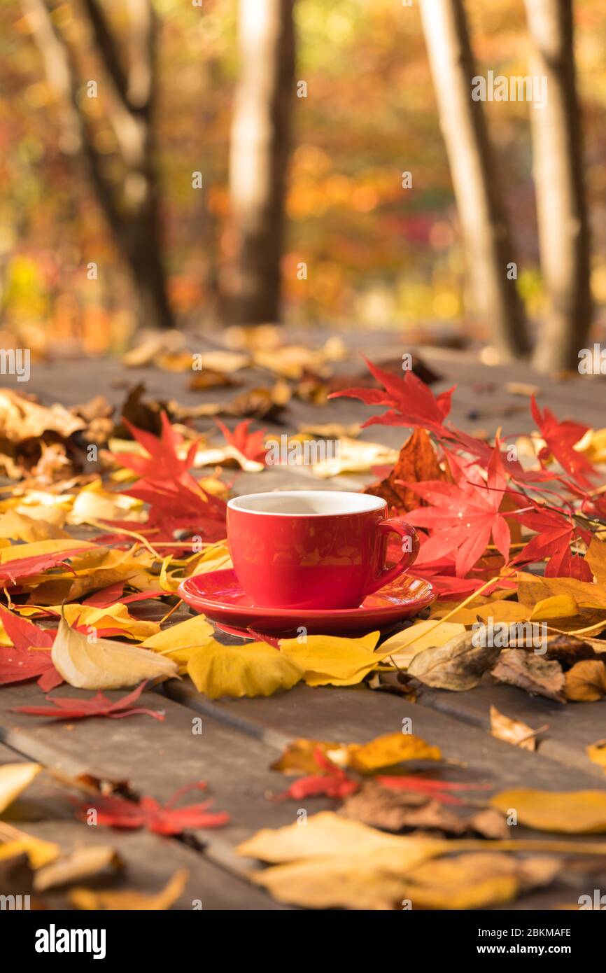 Taza Esmaltada de otoño