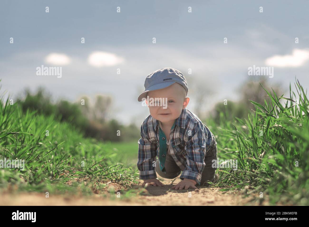 Un pequeño niño caucásico con ojos azules en una gorra de béisbol y camisa de cuadros arrastrándose en el surco de un campo con grano en crecimiento. Foto de stock