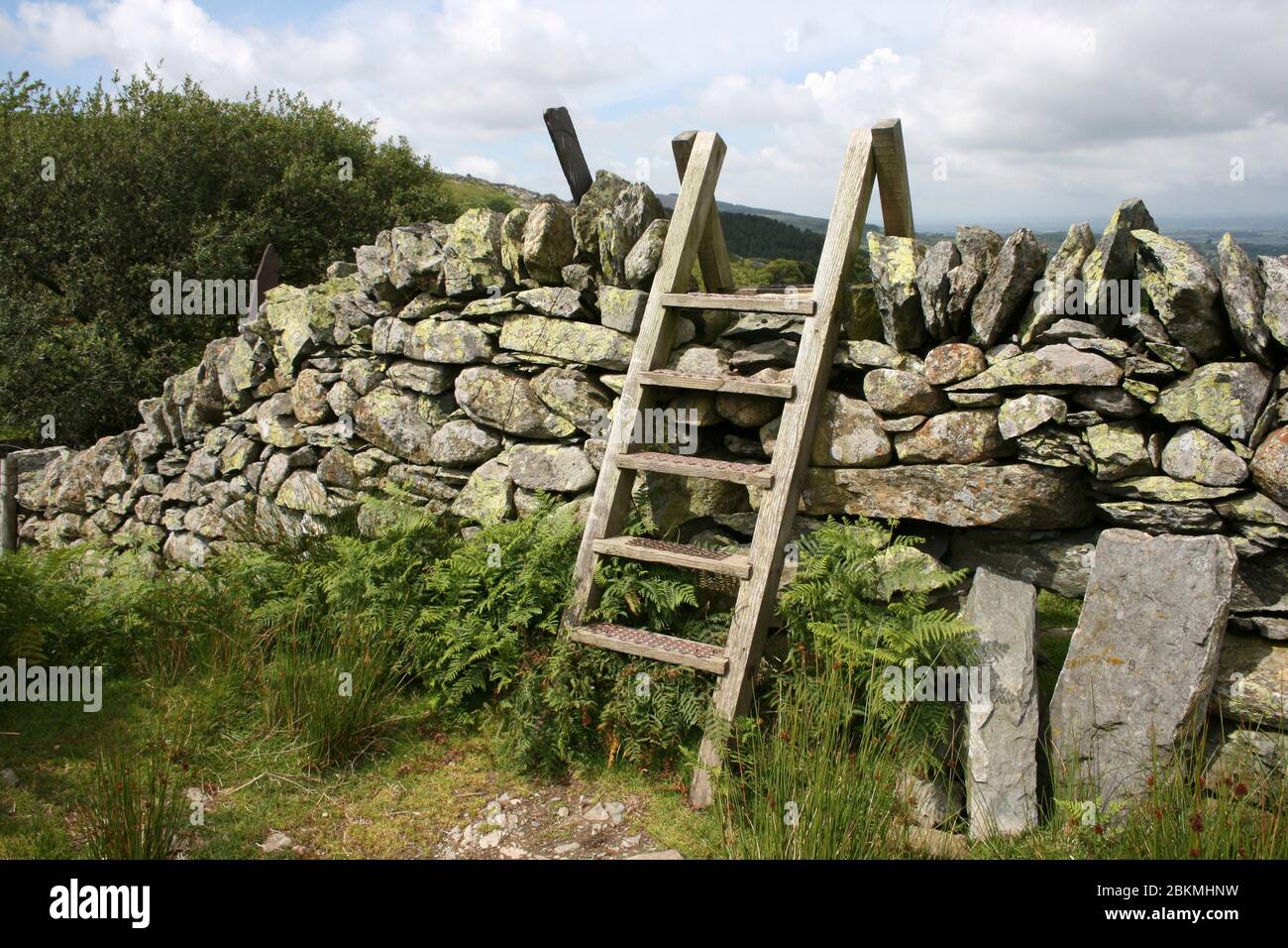 Escalera de madera cruce de azulejos muro de piedra, Valle de Llapar, Snowdonia, Gales Foto de stock