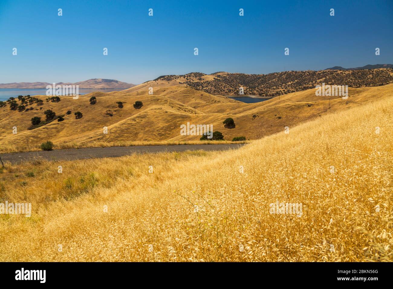 Vista del paisaje cerca del embalse de San Luis, California, Estados Unidos de América, América del Norte Foto de stock