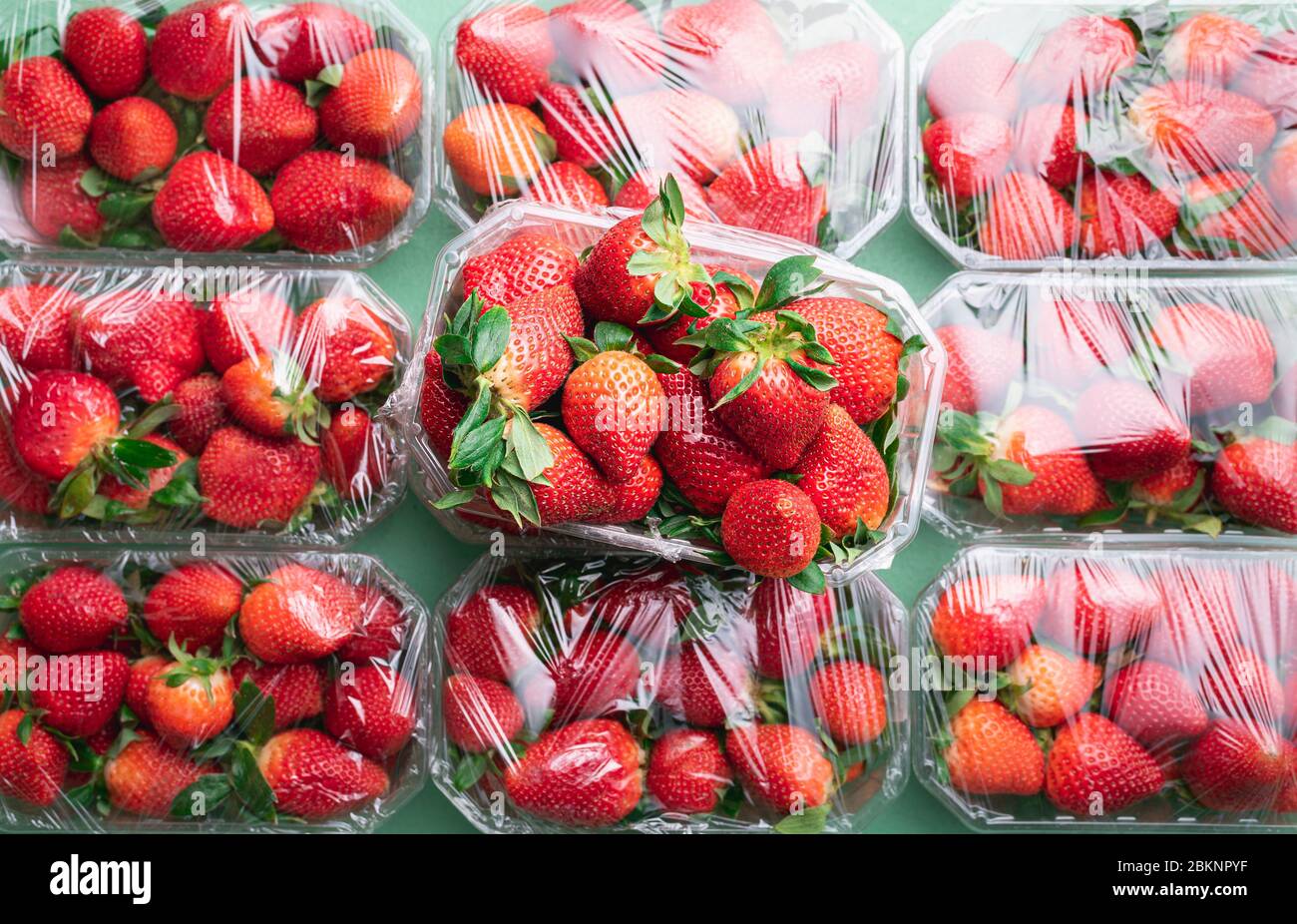 Muchas fresas en cajas listas para comprar. Plano con frutas frescas maduras de fresa. Abundancia de frutos dulces de verano. Concepto de la temporada de fresa. Foto de stock