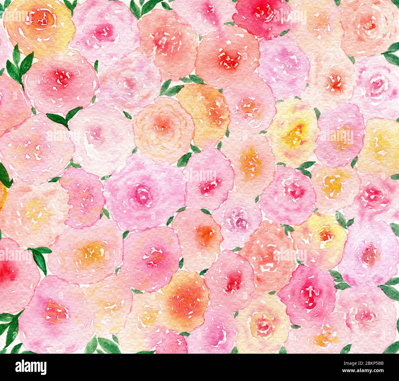 flores color rosa fondo, acuarela floral plantilla en colores pastel, fondo  abstracto elegante rosas, día de san valentín fondo floral Fotografía de  stock - Alamy