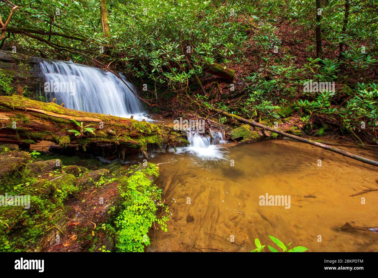 Cascada tranquila escondida en la densa selva Foto de stock