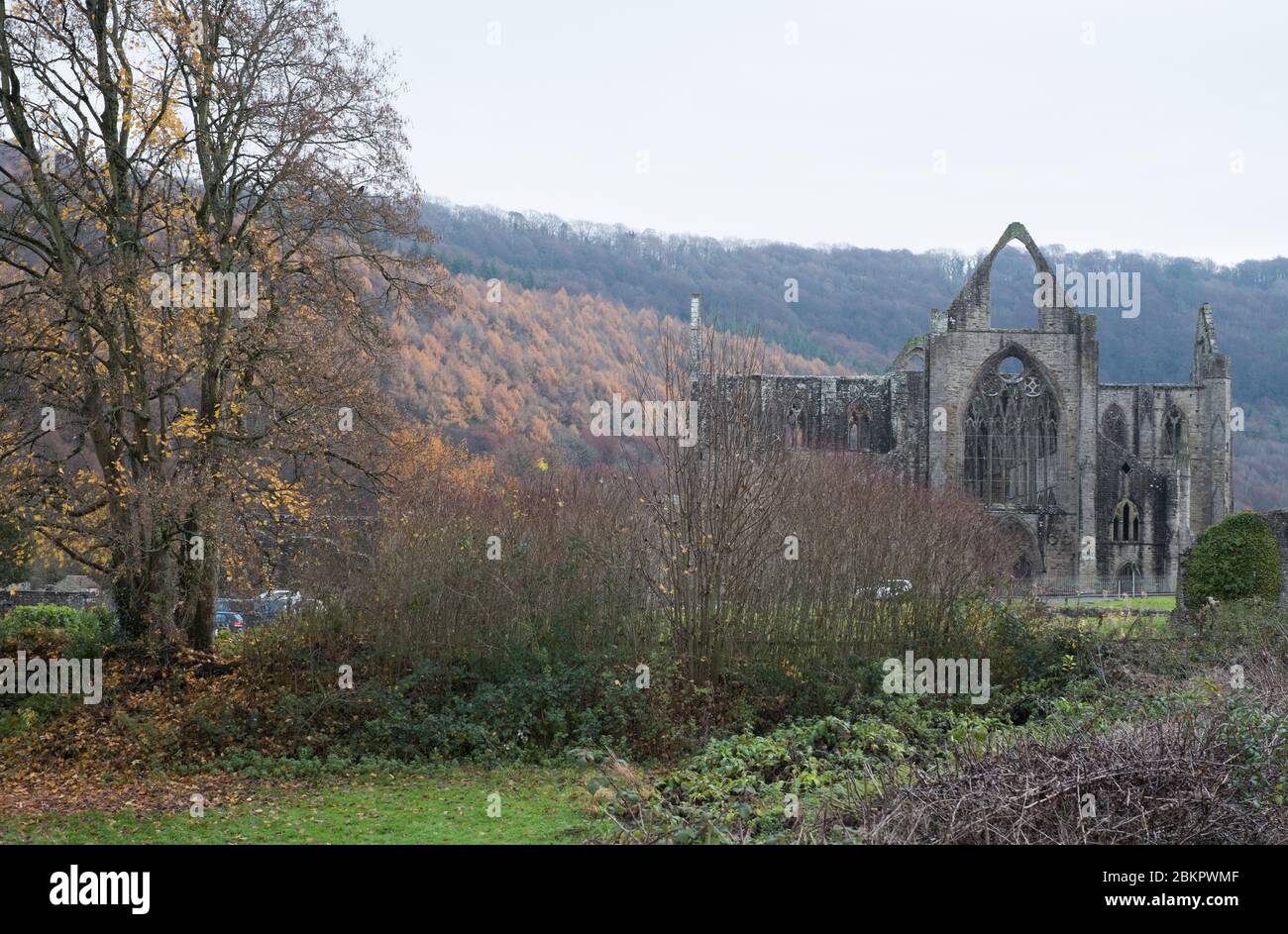 Abadía de Tintern en el valle de Wye, en la frontera entre Inglaterra y Gales Foto de stock