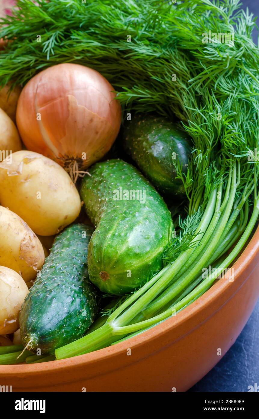 Cosecha agrícola. Verduras frescas del jardín. Pepinos crudos, eneldo, cebollas, papas en un cuenco de arcilla. Ingredientes para cocinar platos vegetarianos. Cerrar Foto de stock