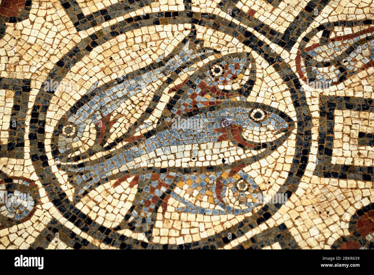 Francia, Haute Saone, Jonvelle, museo, sitio arqueológico, restos de una villa galo romana, baños termales, mosaico Foto de stock