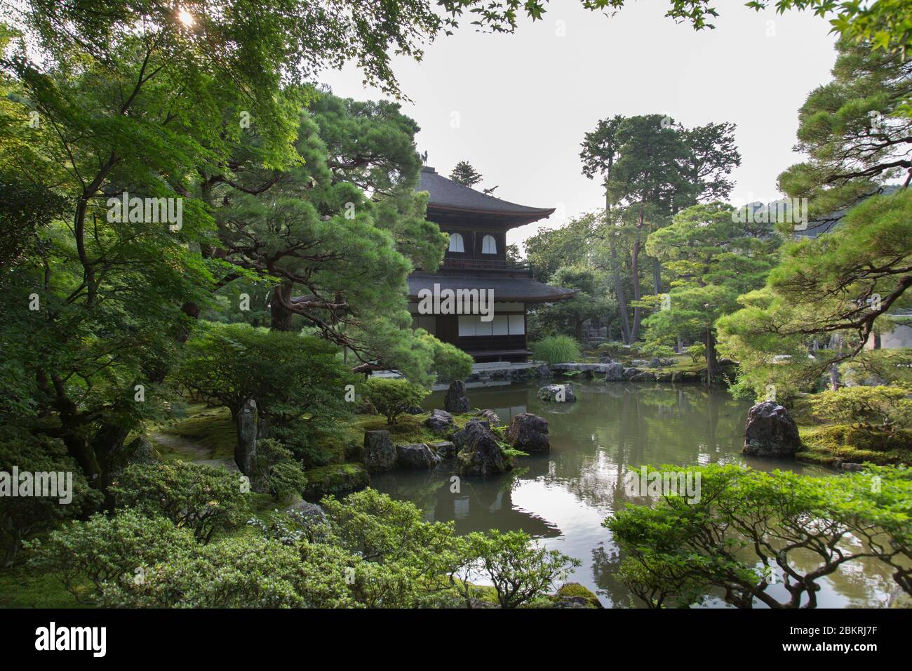 Japón, Isla Honshu, Región de Kansai, Kioto, Jardín tenjyuan Foto de stock