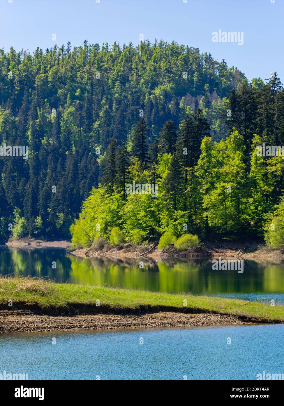 Temporada de primavera en bosque verde Lokve lago Croacia Europa Foto de stock