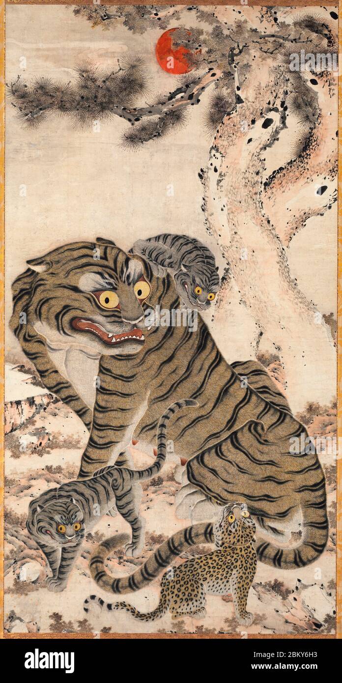 Familia Tiger, finales de 1800. Corea, dinastía Joseon (1392-1910) - en las montañas profundas donde crecen los viejos pinos, un tirón, sus dos cachorros, y un leopardo dan la bienvenida al sol naciente. Foto de stock