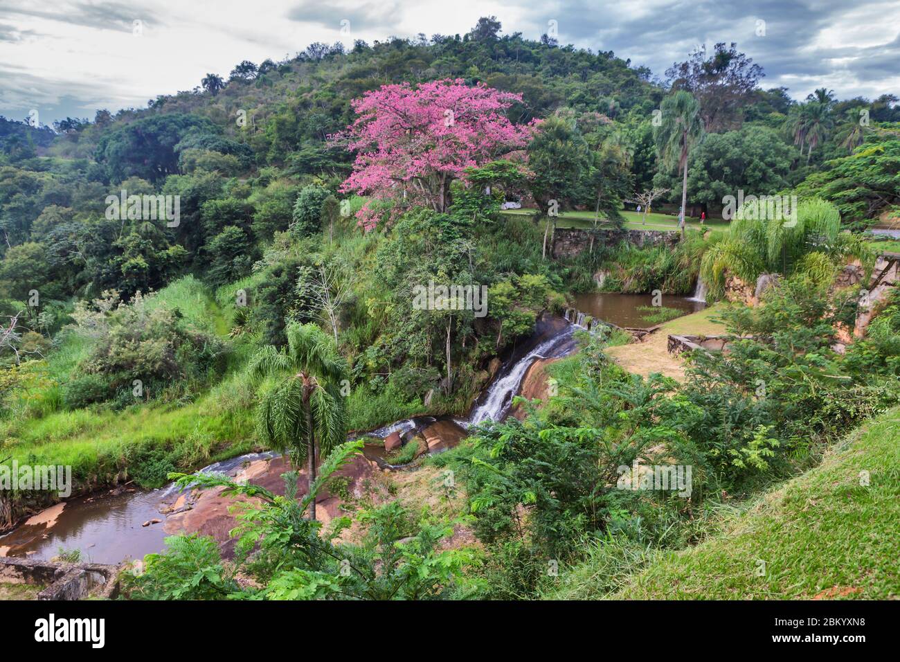 Parque, Fazenda Cachoeira Grande, 1820, cerca de Vassouras, estado de Río de Janeiro, Brasil Foto de stock