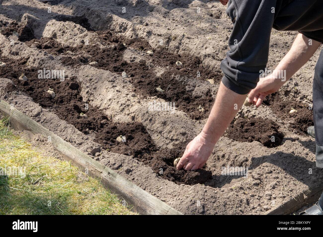 Suelos ricos en humus y árboles