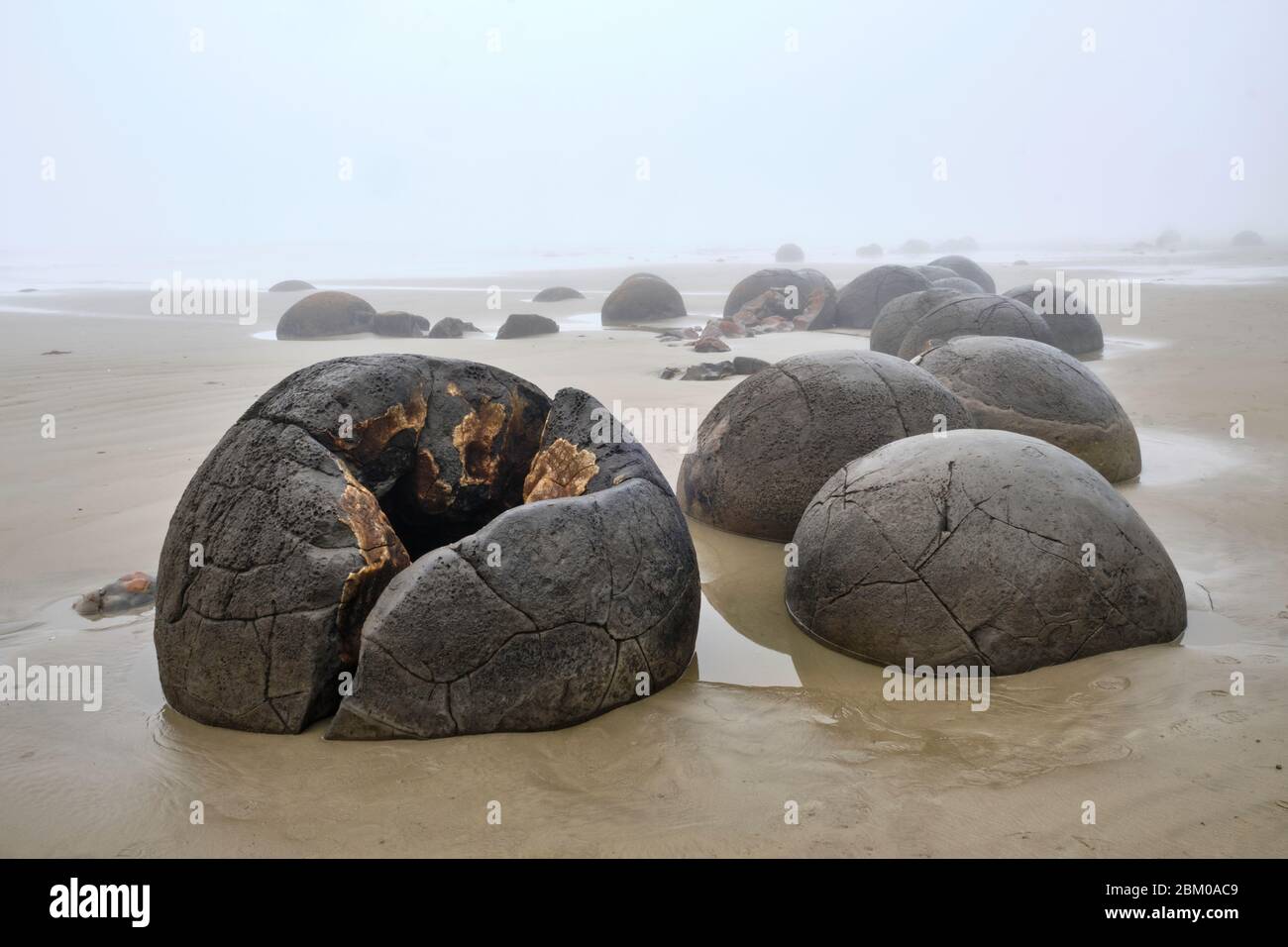 Extrañas formaciones rocosas creadas por la cementación de la piedra de barro del Paleoceno en la playa de Moeraki, temprano en la mañana de un día de niebla. Foto de stock