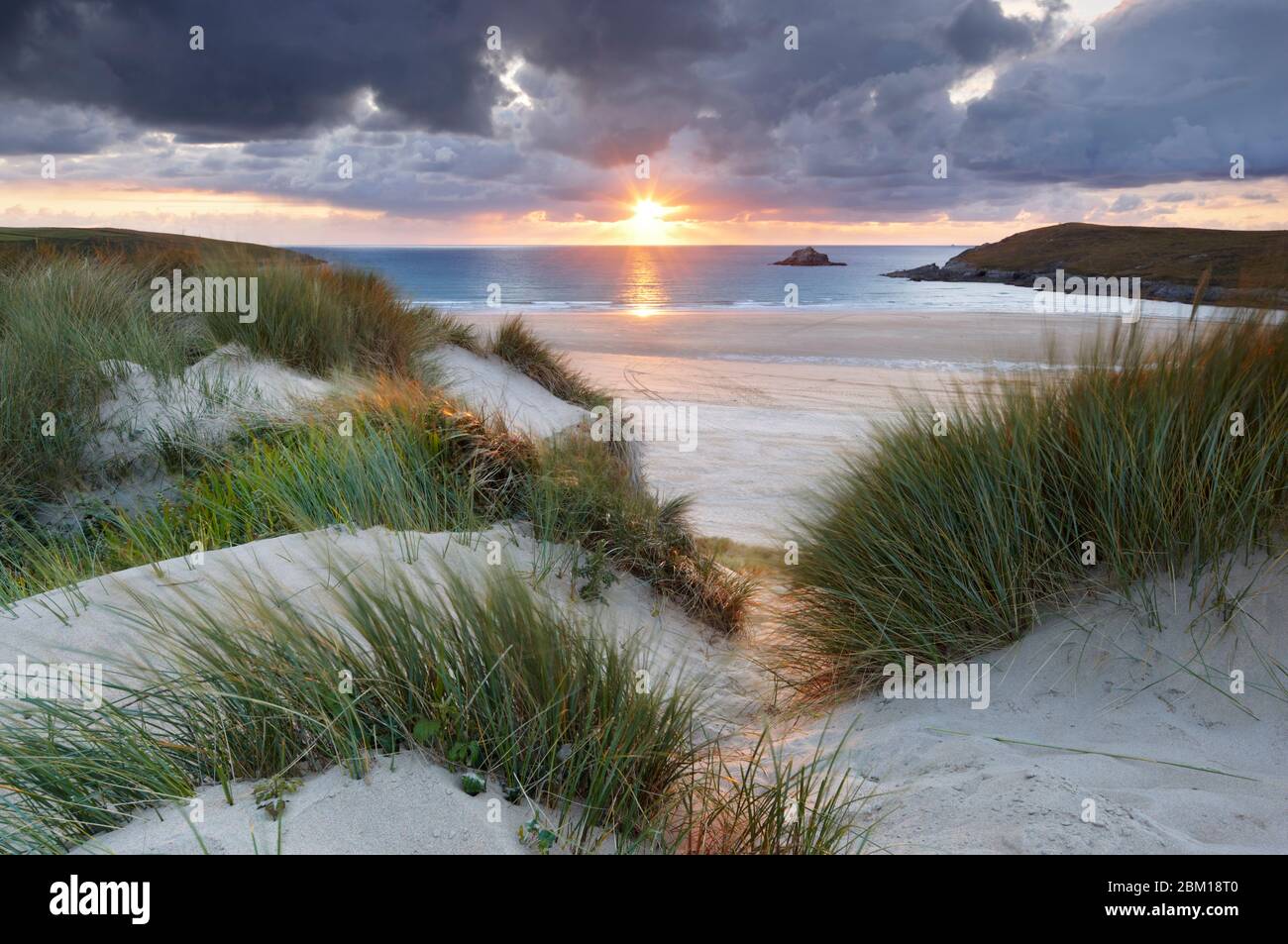 La luz del sol de la tarde capturando las hierbas de Marram a lo largo de la costa de Cornualles en Crantock Foto de stock