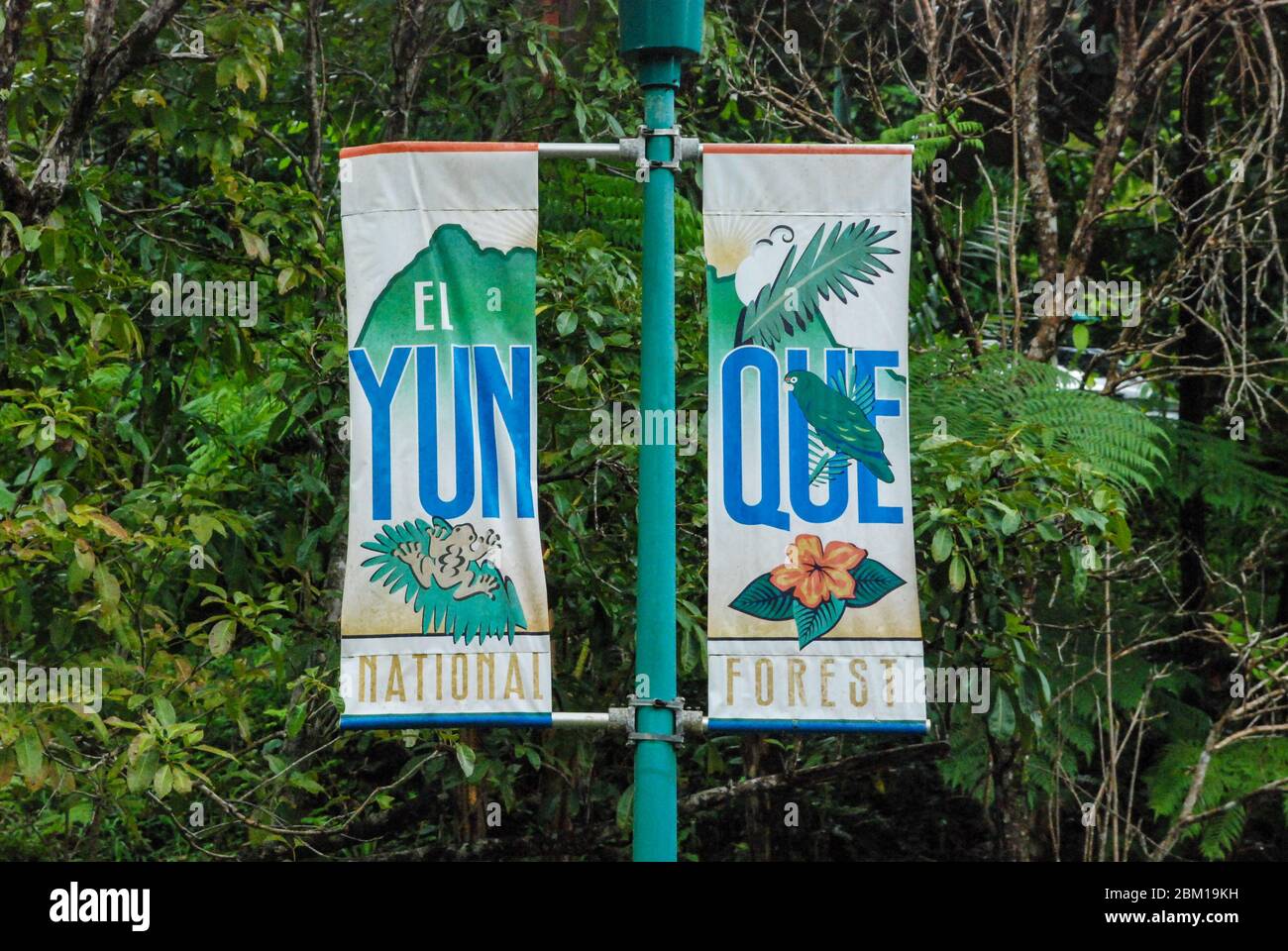 Bosque Nacional el Yunque, seña para la selva tropical en Puerto Rico Fotografía de stock Alamy