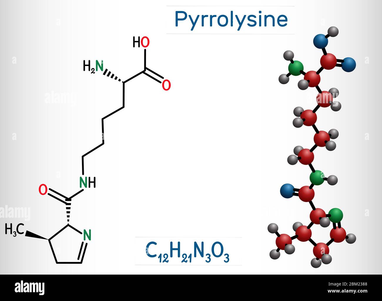 Pirrolisina, L-pirrolisina, PYL, molécula C12H21N3O3. Es aminoácido, se utiliza en la biosíntesis de proteínas. Fórmula química estructural y molécula Ilustración del Vector