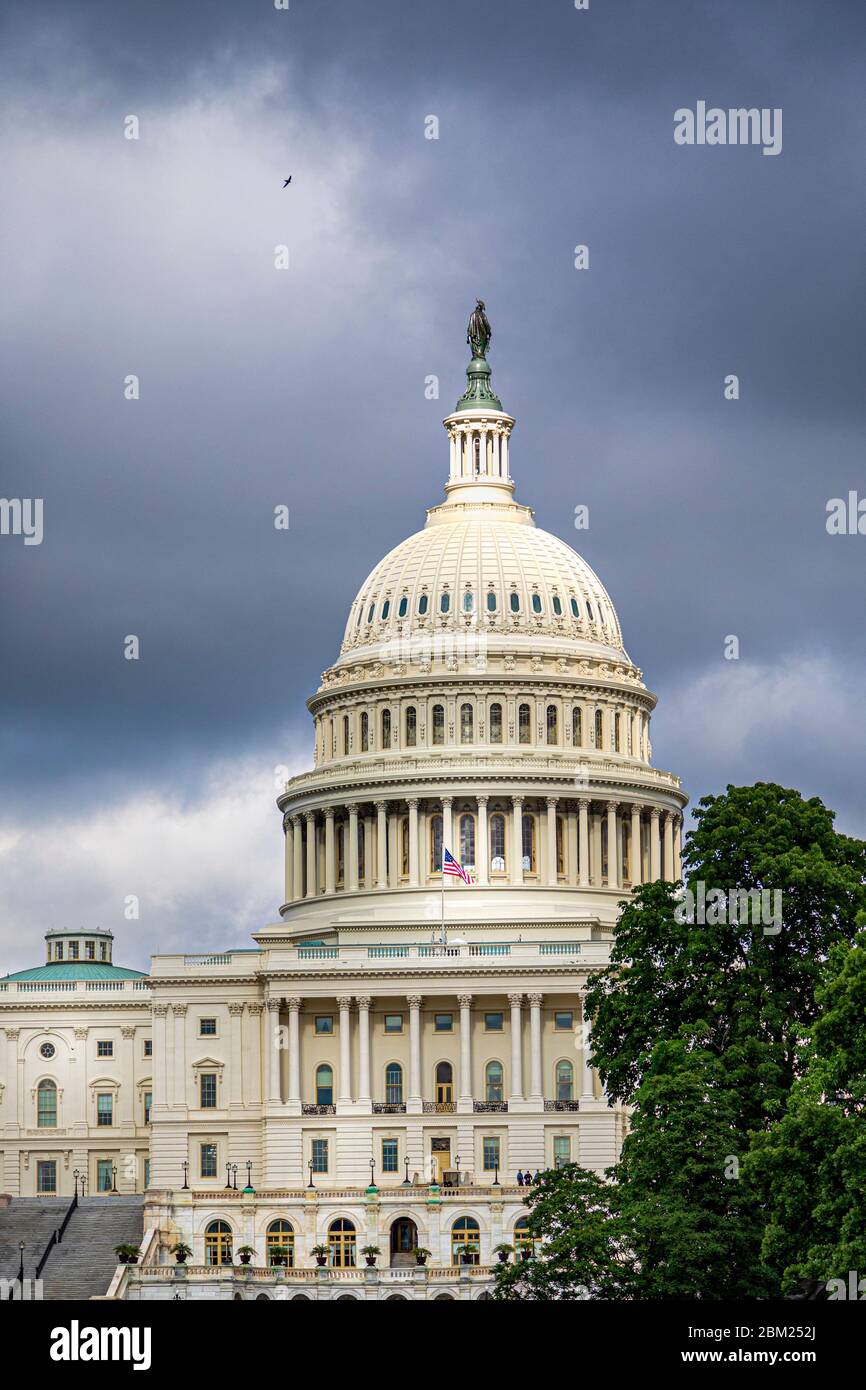 El Capitolio de los Estados Unidos en Washington, DC, EE.UU. Foto de stock