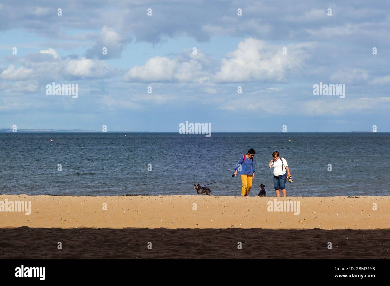 Dos Damas y dos Perros en Portobello Beach, Edimburgo Foto de stock