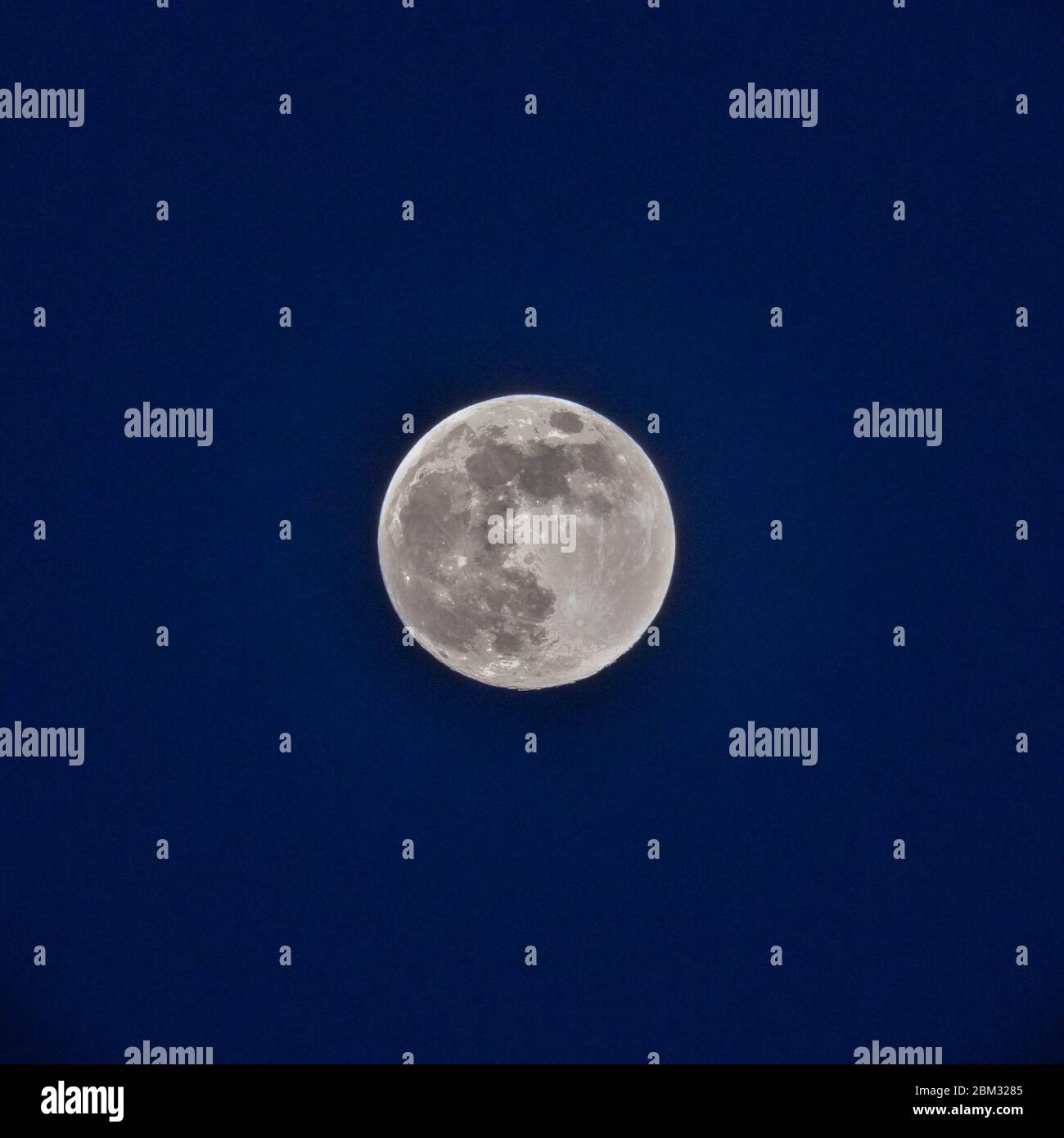 Sythen, NRW, Alemania. 06 de abril de 2020. La luna llena se eleva en cielos claros sobre Renania del Norte-Westfalia. La superluna de mayo es la superluna final del año, concluyendo una serie de tres superlunas de primavera en marzo y mayo de 2020. Crédito: Imageplotter/Alamy Live News Foto de stock