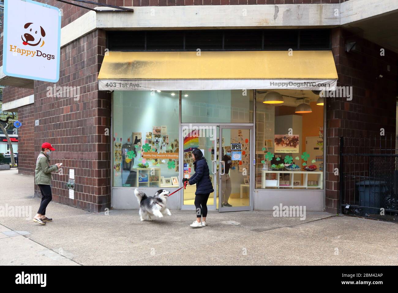 Happy Dogs, 403 1st Avenue, Nueva York, NY. Escaparate exterior de un cuidado de día de perrito en Manhattan. Foto de stock