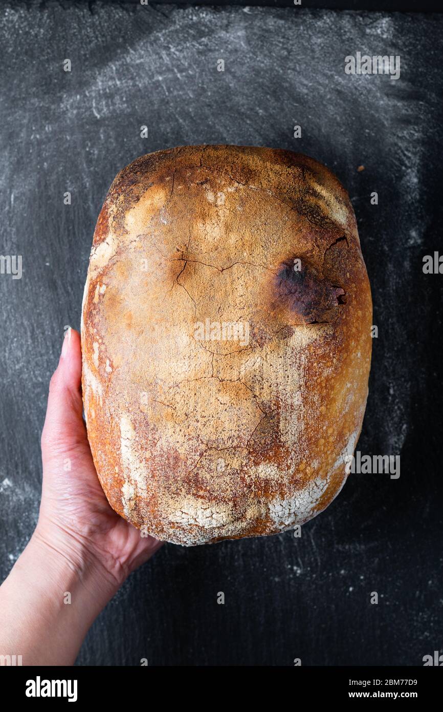 Ambiente oscuro y tono Inicio cocinar casera Organic Rustic Sourdough pan sobre fondo negro con espacio para copiar Foto de stock