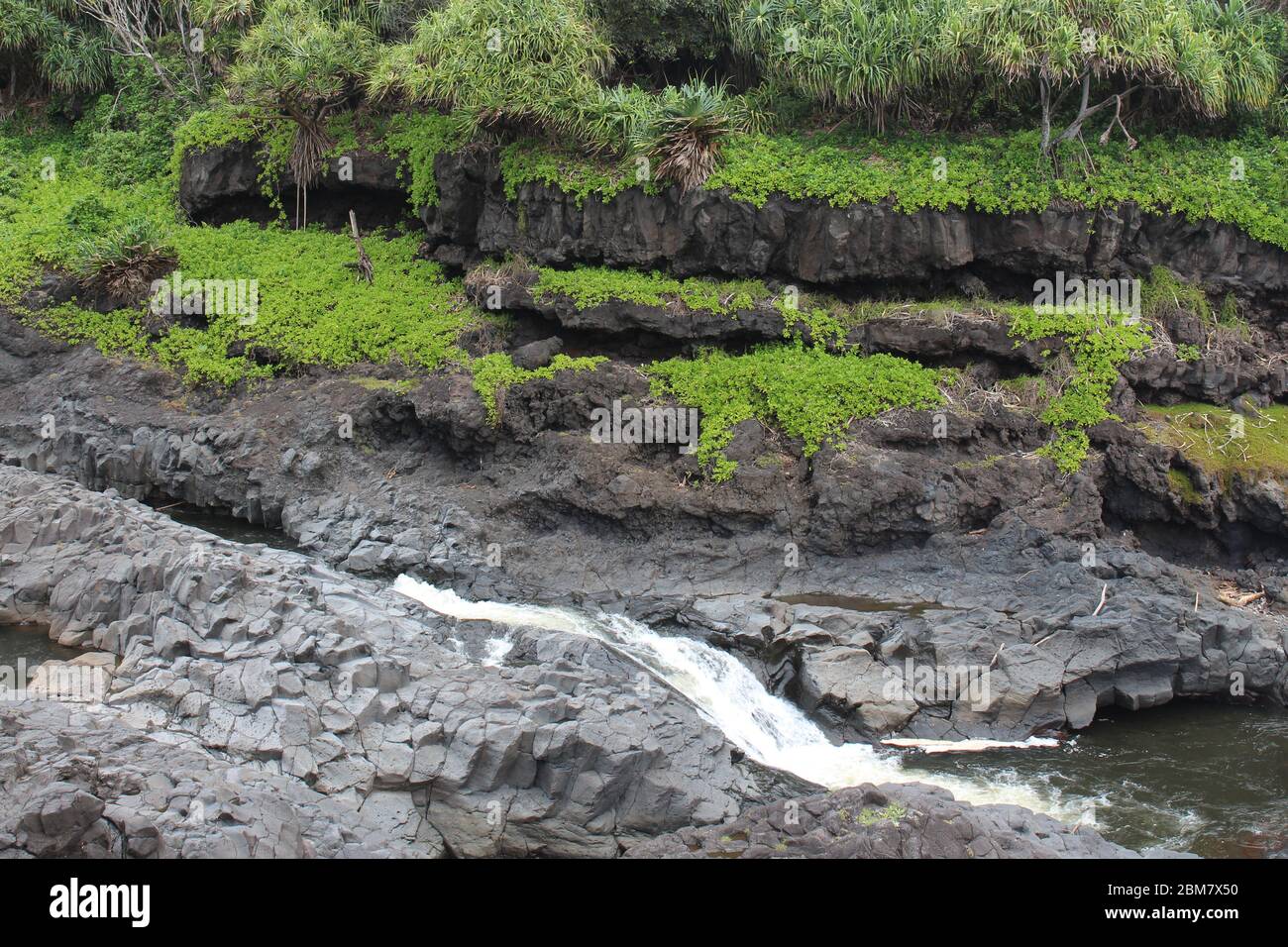 Arroyo Palikea que corre a través de rocas volcánicas con taccada Scaevola y árboles tropicales creciendo en la roca en el Oheo Gulch en Hana, Maui, Hawaii, Estados Unidos Foto de stock
