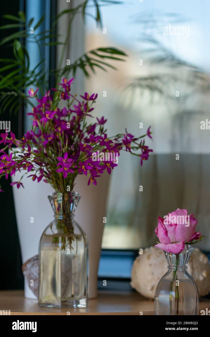 Decoración interior: Rincón de la casa con una rosa, una calabaza seca, un jarrón de cristal con flores silvestres y una piedra en forma de corazón Foto de stock