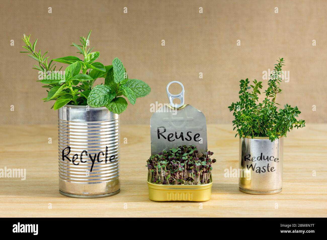 Latas de lata reutilizadas que contienen hierbas y verduras de ensalada en crecimiento con Reciclar, reutilizar, reducir el texto de residuos escrito en latas. Crezca su propio, cero residuos en casa Foto de stock