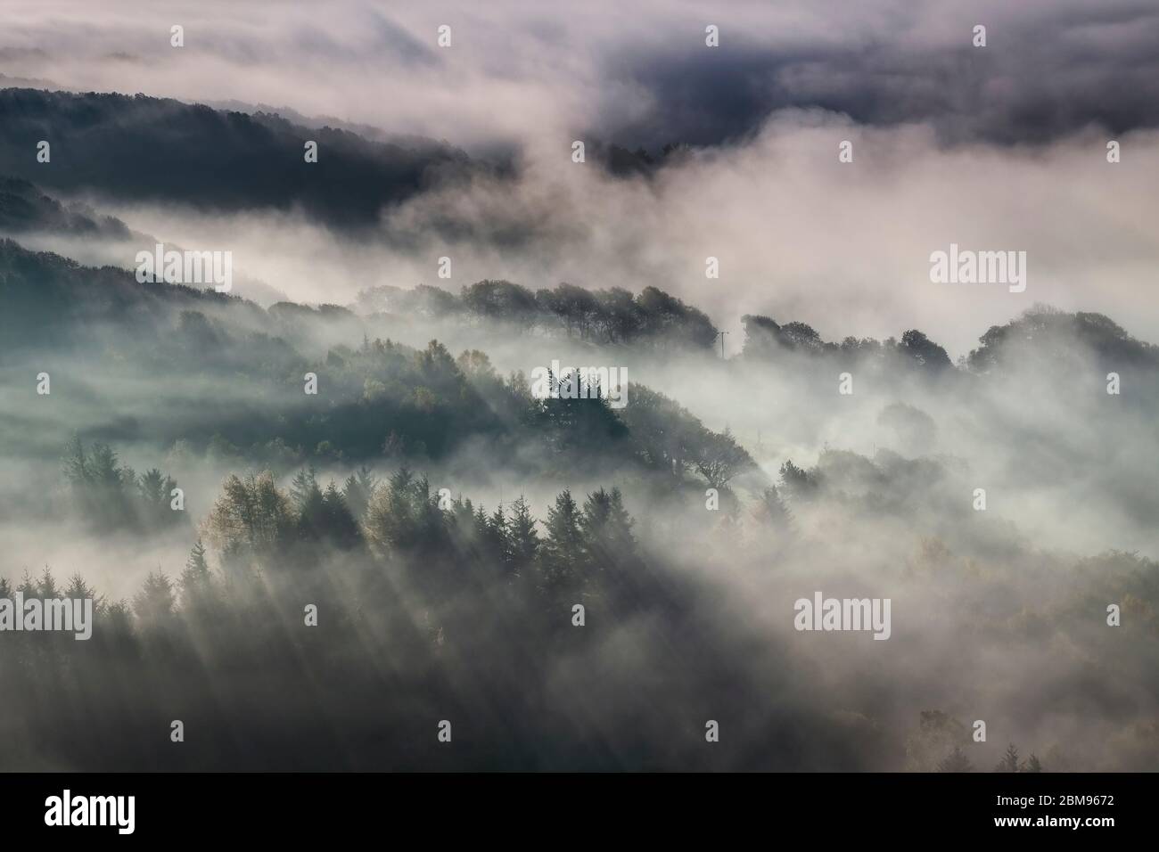 Temprano por la mañana niebla y niebla encasse el bosque Gwydir, cerca de Capel Curig, el Parque Nacional Snowdonia, Gales del Norte, Reino Unido Foto de stock