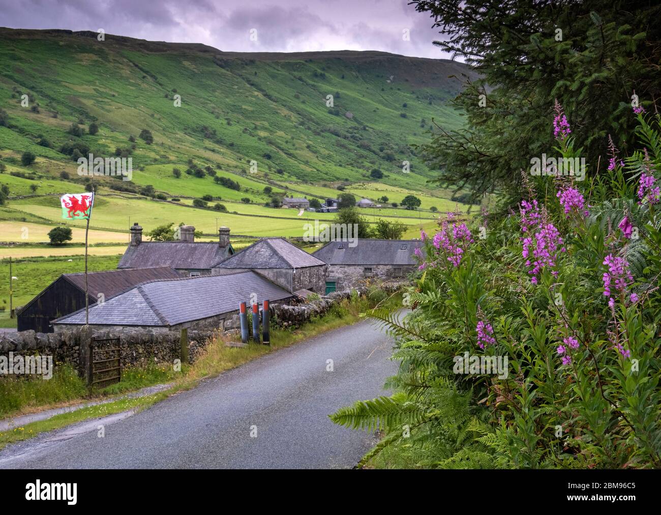 Tradicional Galés Farmstead volando bandera nacional galesa, cerca de Penmachno, Snowdonia, Gales del Norte, Reino Unido Foto de stock